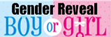 Buy Gender Reveal Fireworks On-Line