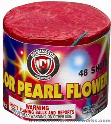 Fireworks - 200G Multi-Shot Cake Aerials - 48 Shot Color Pearl 200g Fireworks Cake