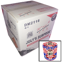 Fireworks - Wholesale Fireworks - Julys Surprise 200g Wholesale Case 8/1