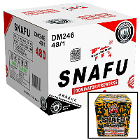 Fireworks - Wholesale Fireworks - SNAFU 200g Wholesale Case 48/1