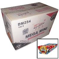 Fireworks - Wholesale Fireworks - Mega Mini 200g Wholesale Case 12/1