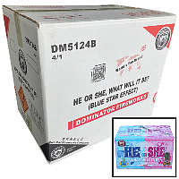 Fireworks - Wholesale Fireworks - He or She What Will it Be? Boy 500g Wholesale Case 4/1