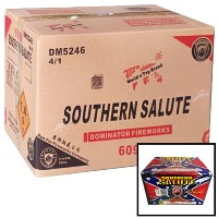 Fireworks - Wholesale Fireworks - Southern Salute 500g Wholesale Case 4/1