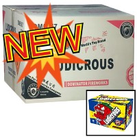 Fireworks - Wholesale Fireworks - Ludicrous 500g Wholesale Case 12/1