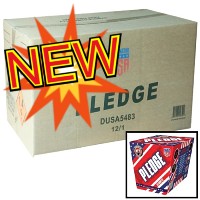 Fireworks - Wholesale Fireworks - Pledge 500g Wholesale Case 12/1