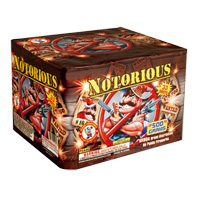 Fireworks - 500G Firework Cakes - Notorious