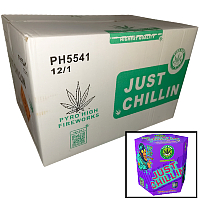 Fireworks - Wholesale Fireworks - Just Chillin 500g Wholesale Case 12/1