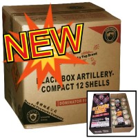 Black Box Artillery Compact 12 Shot Wholesale Case 12/12 Fireworks For Sale - Wholesale Fireworks 