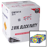 2 Min Block Party 500g Wholesale Case 3/1 Fireworks For Sale - Wholesale Fireworks 