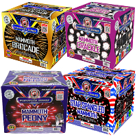 Mammoth Aerial 500g Fireworks Assortment Fireworks For Sale - 500G Firework Cakes 